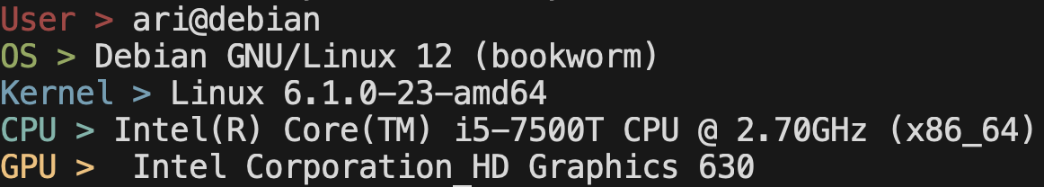 Image of tinyfetch on a debian machine.